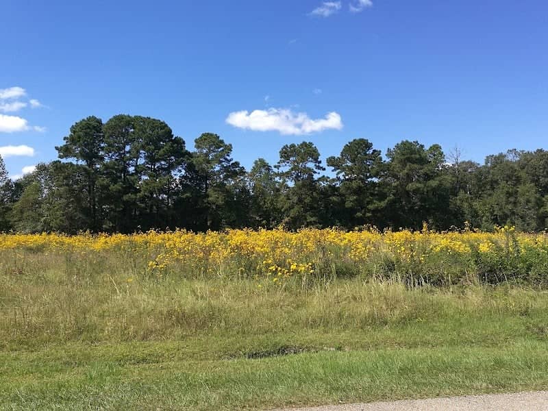 Jacob Kornmeyer Park - Image 1