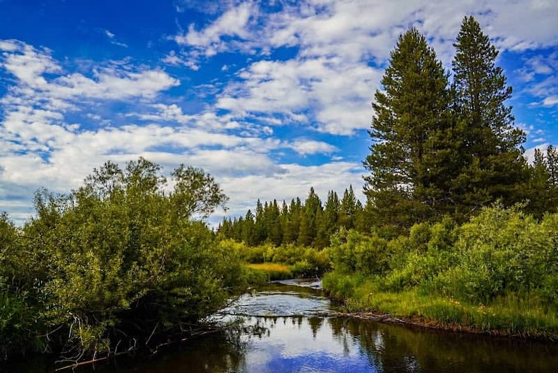 Trout Creek - Image 2
