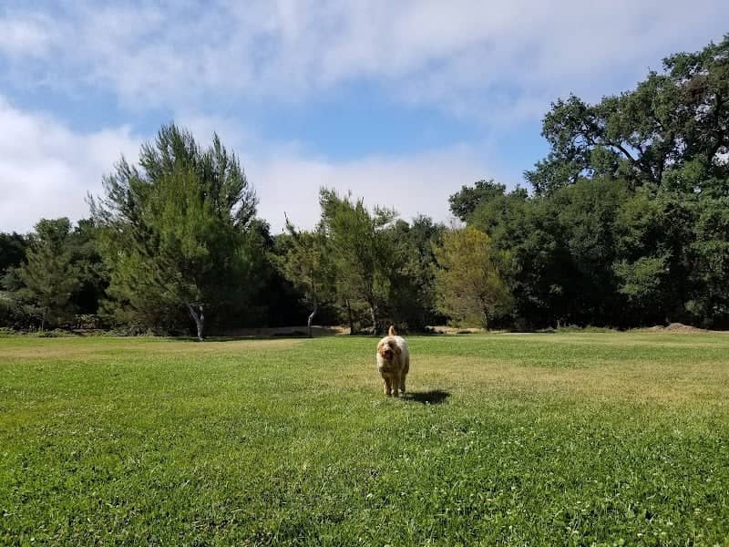 Apple Valley Park - Image 2