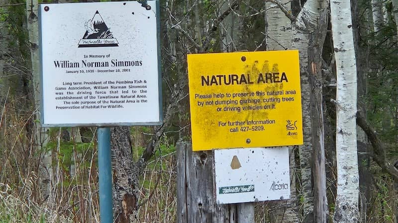 William Norman Simmons Wilderness Area - Image 2