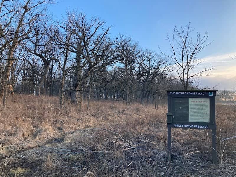 Sibley Grove - Image 1