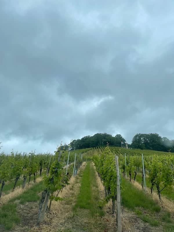 Wintranger Aussichtspunkt - Image 3
