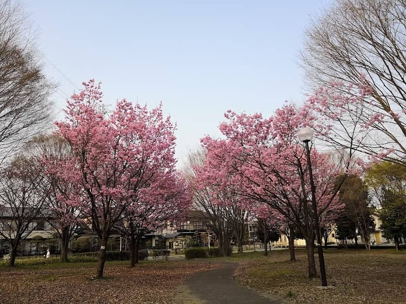 Imaizumi Central Park - Image 1