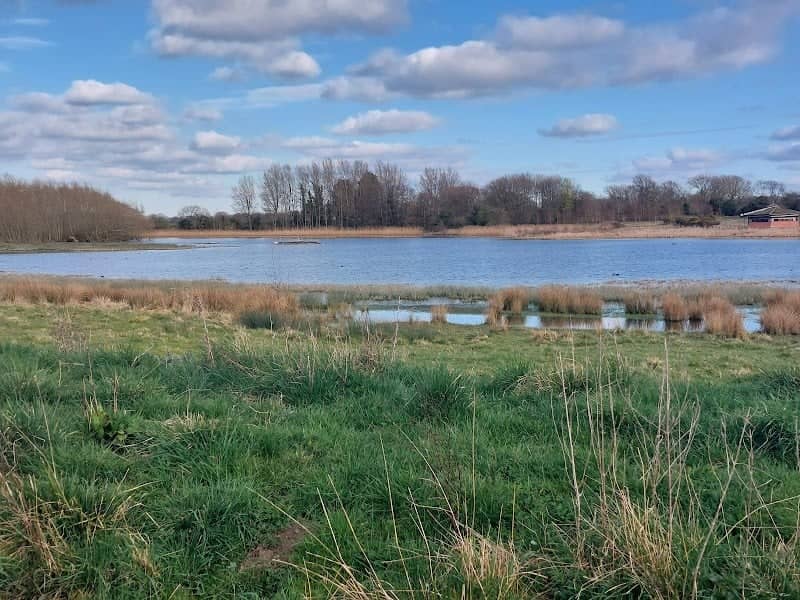 Staveley Nature Reserve - Image 1