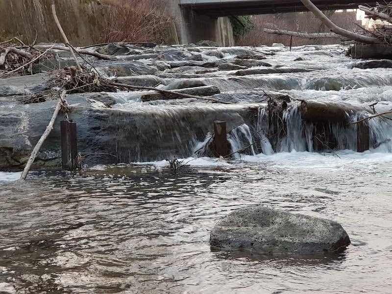 Hundeauslaufzone Baden - Image 2
