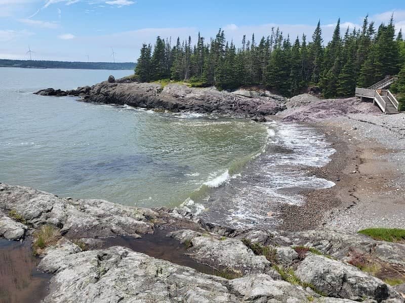 Irving Nature Park - Image 1
