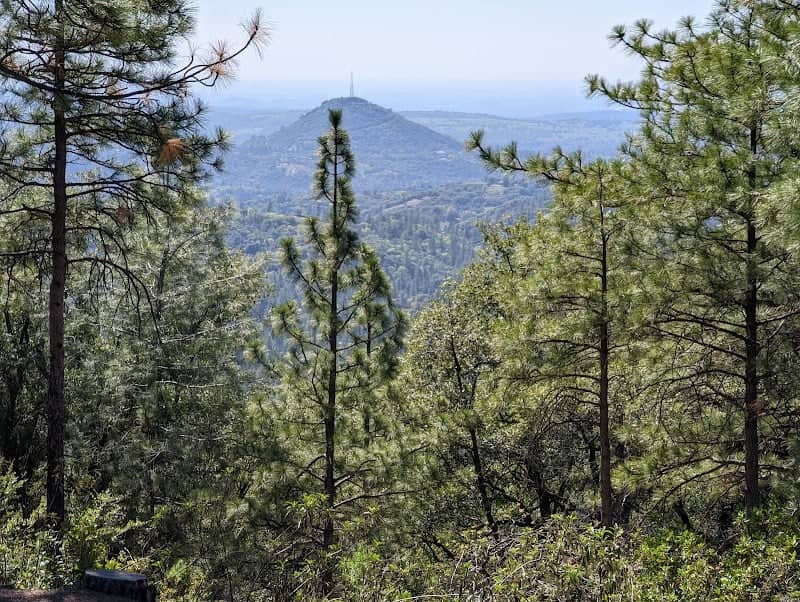 Mount Zion Demonstration State Forest - Image 3