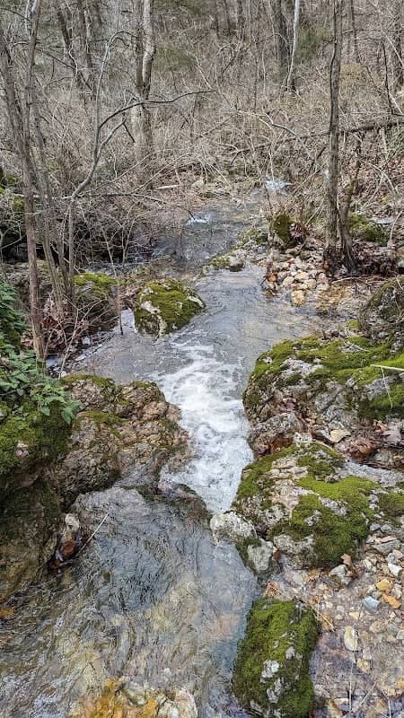 Roy Danuser Park - Image 1