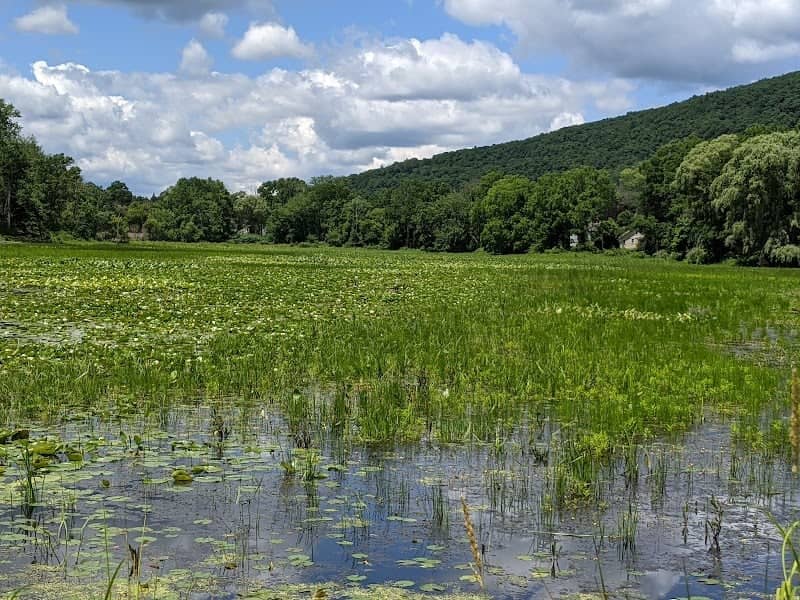 Brick Pond - Image 3