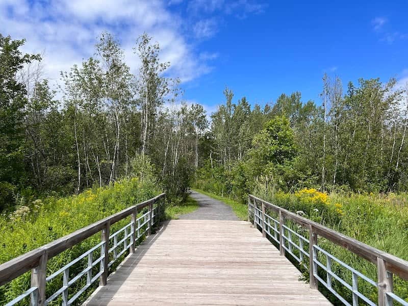 Tremblay Woodlands - Image 3