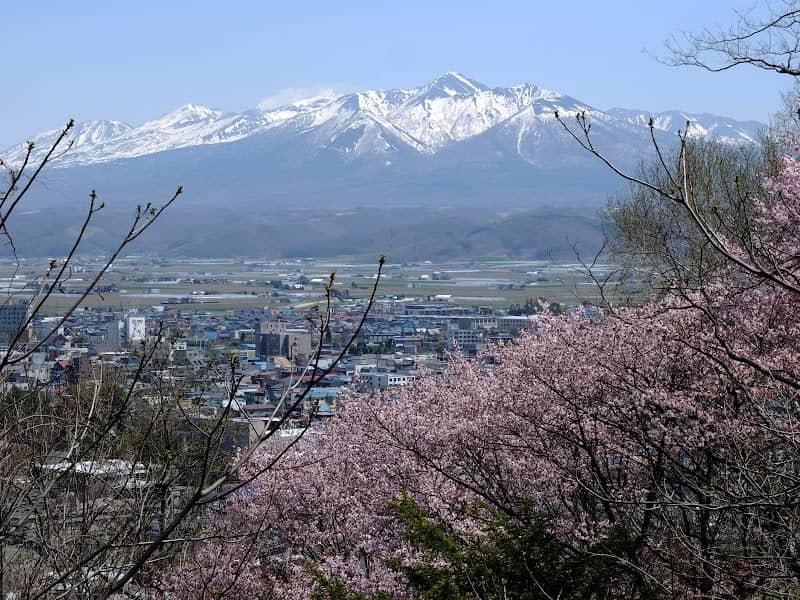 Asahigaoka Park - Image 3