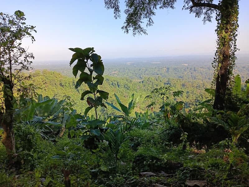 Hidden view point - Image 1