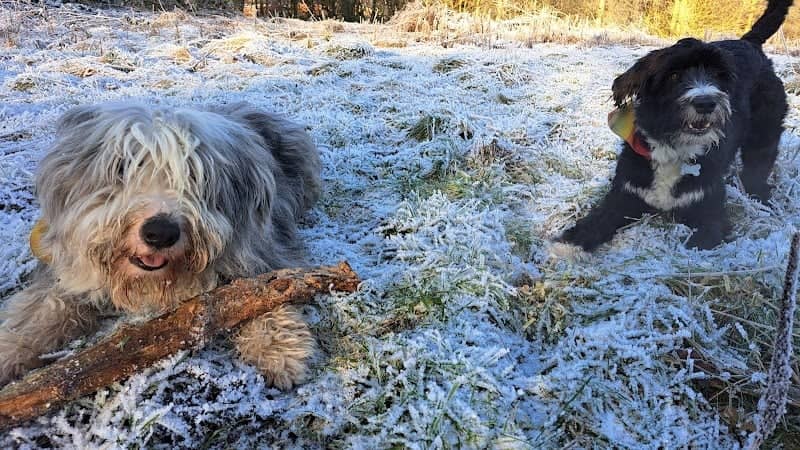 Selston Country Park - Image 2