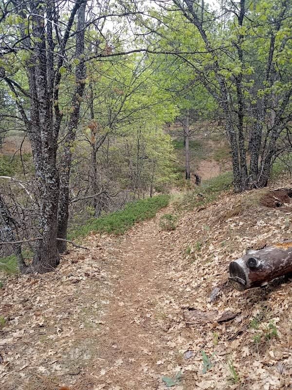 Golden Forest Trailhead - Image 1