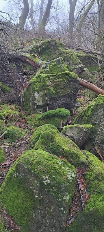 Naturdenkmal Winterberg - Image 1