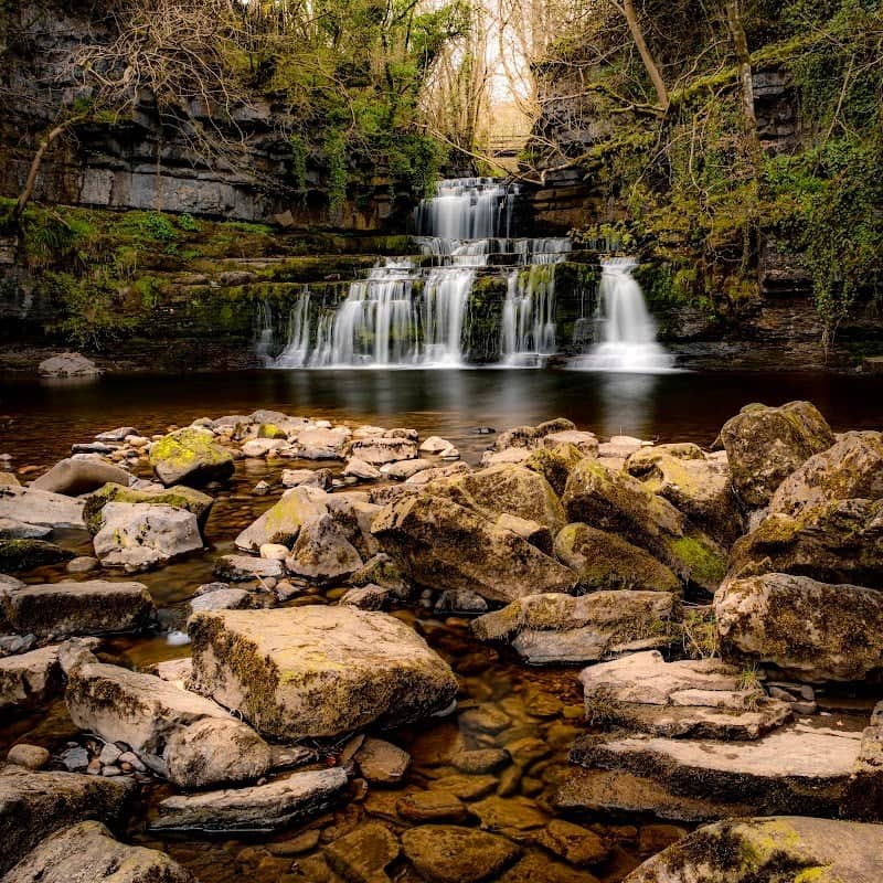 Cotter Force - Image 1