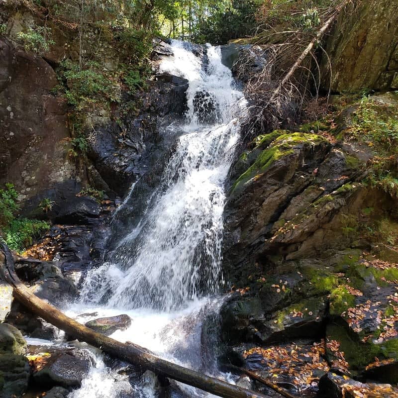 Little Rock Creek Falls Trailhead. - Image 1