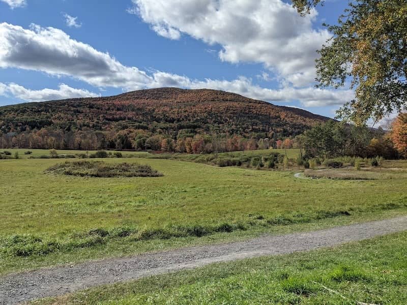 The Windham Path - Image 1