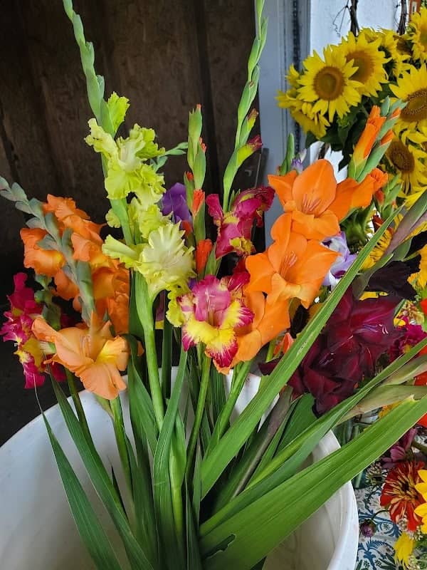 Flowerhill Farm - Image 1