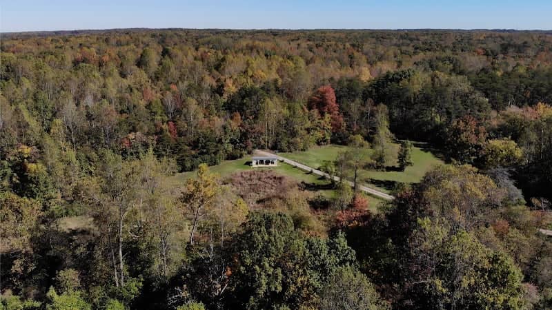 Forest Farms - Image 2