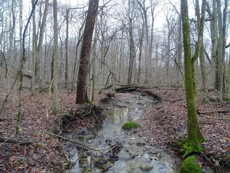 Conrad Trail - Image 1