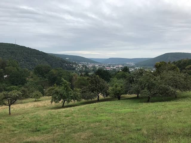 Waldlehrpfad Lohr - Image 1
