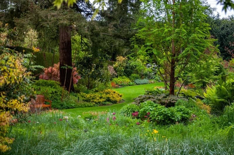 PowellsWood Garden - Image 4