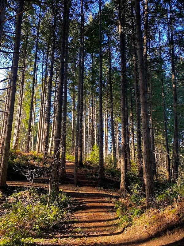 Paradise Pond Park - Image 2