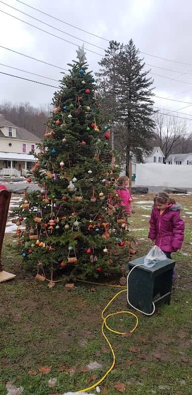 Noxen Christmas Tree - Image 2