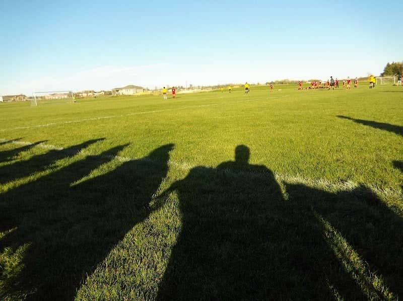 Tea Baseball Field - Image 1