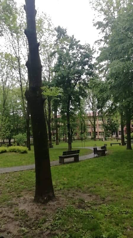 Parcul Central - Image 1