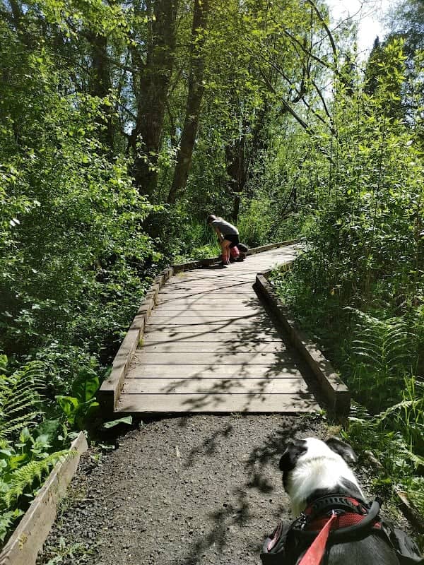Mission Creek Nature Park - Image 2