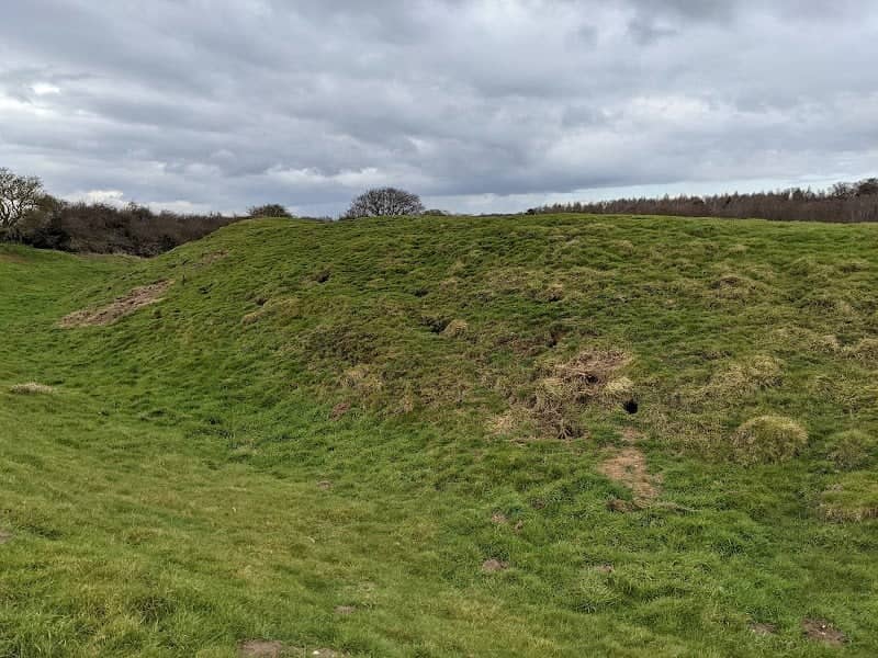 Horsford Motte and Bailey Castle - Image 2