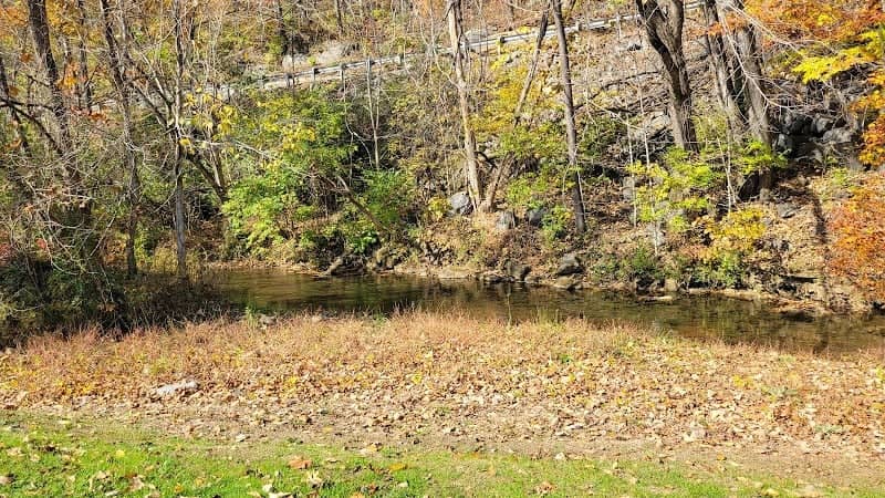 Pugh Branch Stream - Image 1