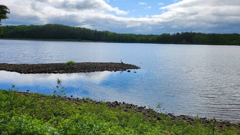 Mount Tom Wildlife Management Area - Image 2