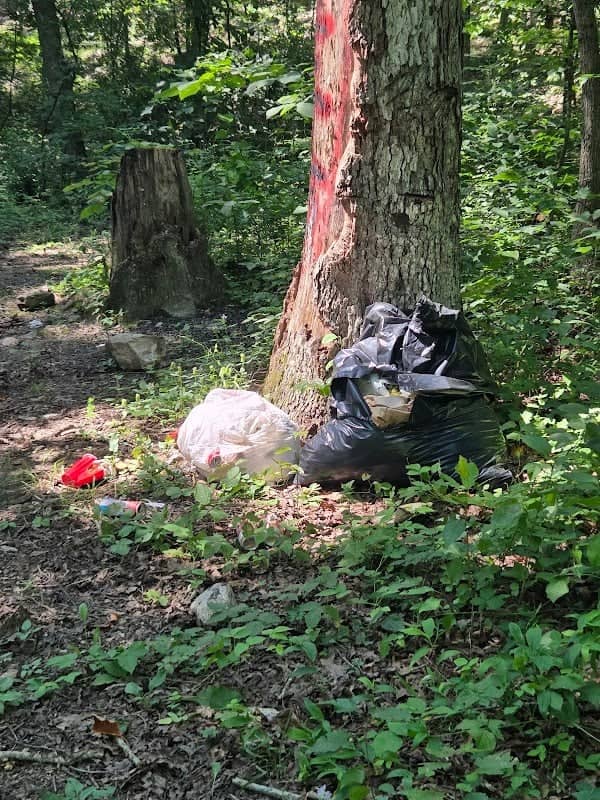 Big Rock Campsite - Image 1