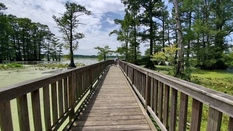 Reelfoot National Wildlife Refuge - Image 3