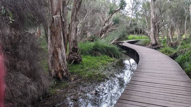Beenyup Swamp Boardwalk - Image 2