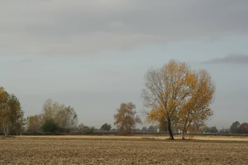 Riserva Regionale Garzaia di Porta Chiossa - Image 1