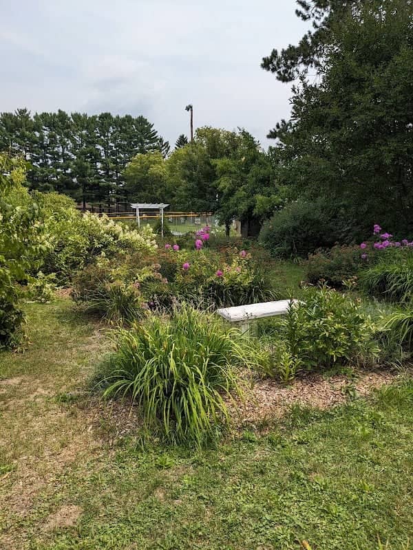 Cleghorn School Park - Image 1