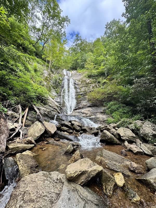 Toms Creek Falls Trail - Image 3