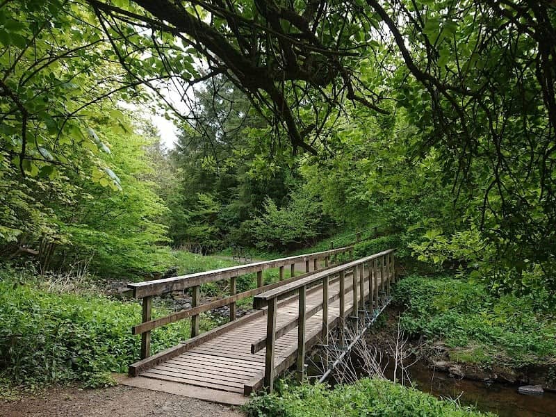Stewarton Woodlands Action trust Walk - Image 1
