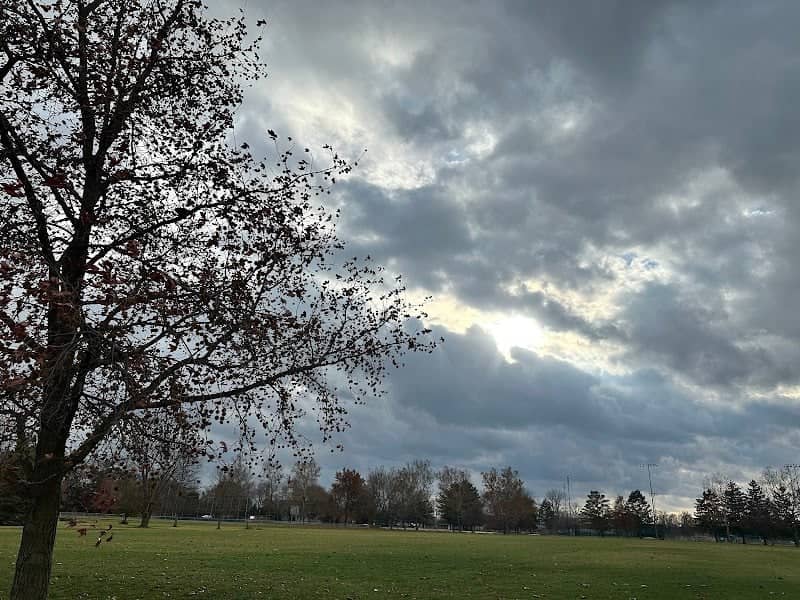 Moore Park - Image 2