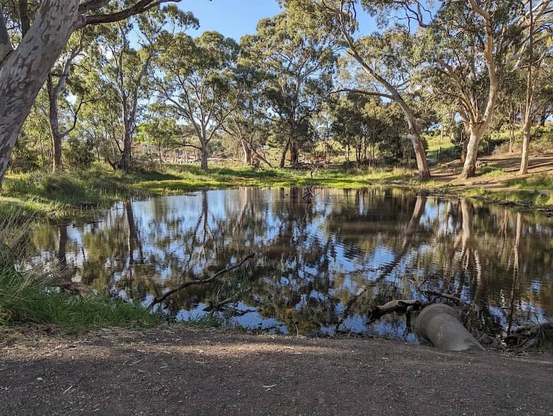 Glenthorne National Park — Ityamaiitpinna Yarta - Image 1