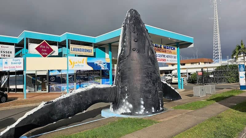 The Big Whale - Image 1