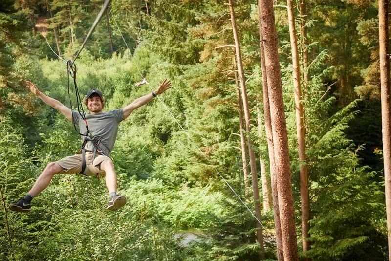 Go Ape Cannock - Image 1