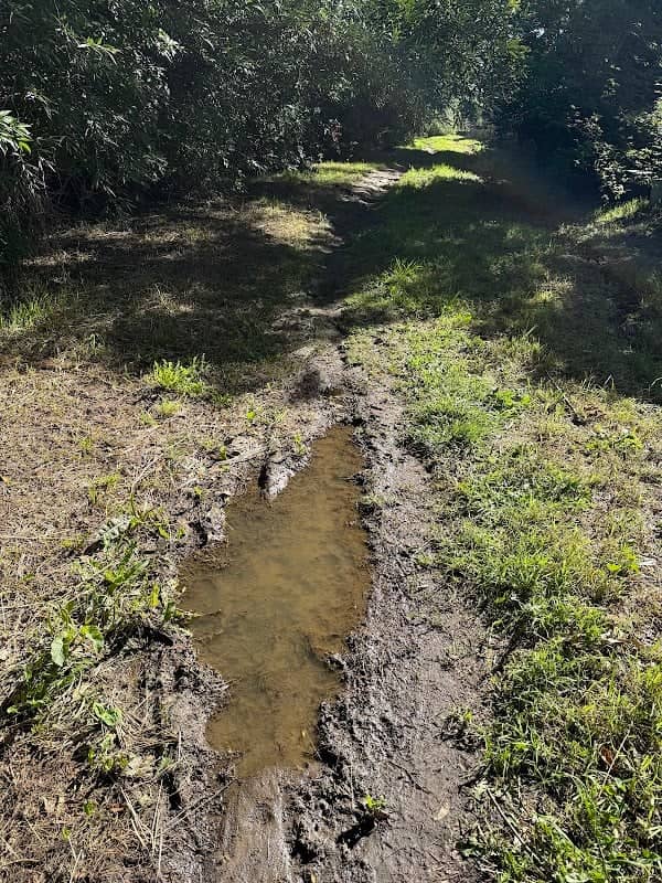 Heron Lake Open Space - Image 1