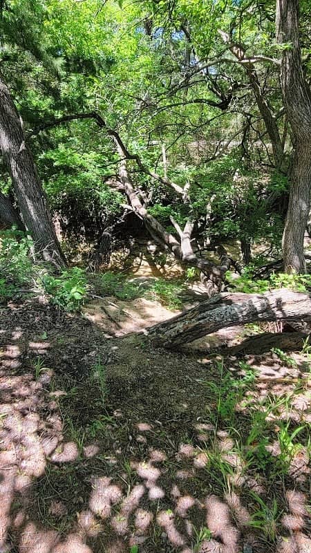City Memorial Park - Image 1