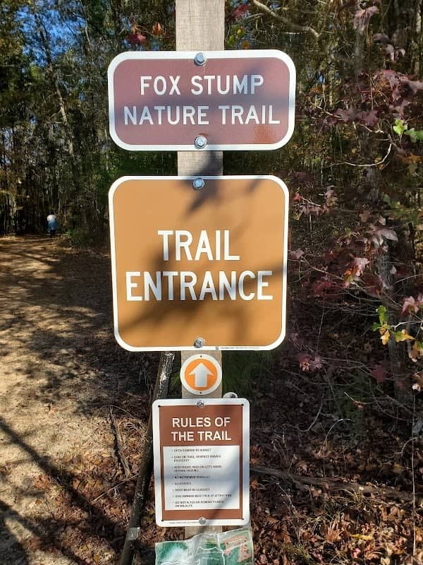 Pineywoods Nature Trail - Image 2