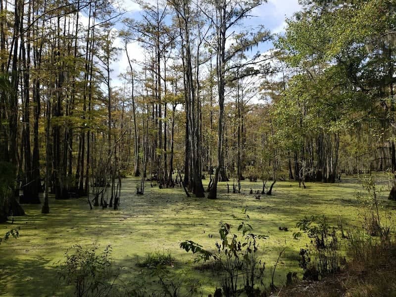 Dungannon Plantation Heritage Preserve/Wildlife Management Area - Image 1